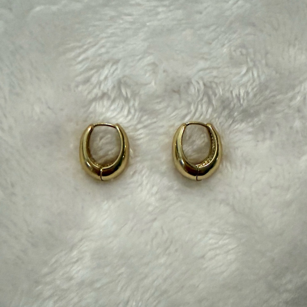 Elegant Gold Hoop Earrings